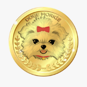 DOGE MORKİE