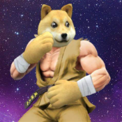SUPER NINJA DOGE