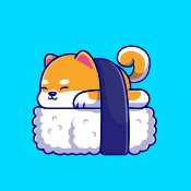 Sushi Baby Shiba