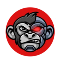 APEBORG