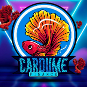 CARDUME FINANCE
