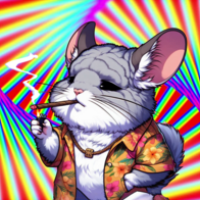 ChinCHILLA