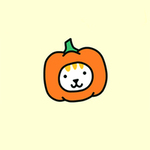 PUMPkin Cat
