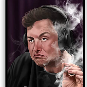 flokimusk