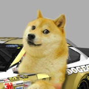 DOGERACEBSC
