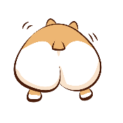 Corgi Moon Finance