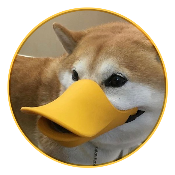 ShibaDuck