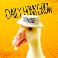 DAILY HONK GROW