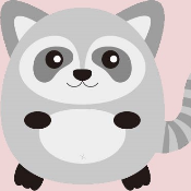 RaccoonToken
