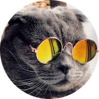 MEao -THE perrfect