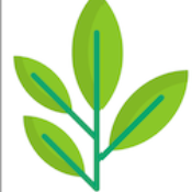 Flavonoids Token