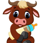 Little Bull