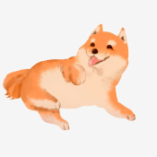 papafloki inu