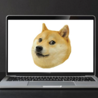 Interrnetdoge