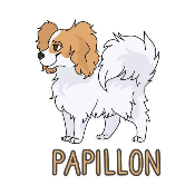 PAPILLON