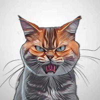 Cats Rocks