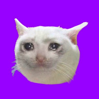 Crying Cat