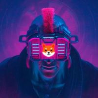 Shiba Vision