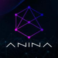 Anina Coin