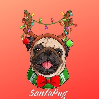 SantaPug