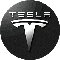 TESLA COIN 2022