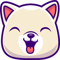 Binance Kishu