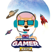 Gamer Akita