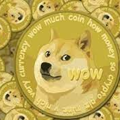 DogeShipToken