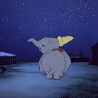 Baby Elephant