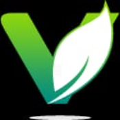 VIDA