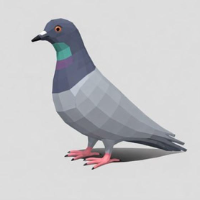 Airdropper Pigeon