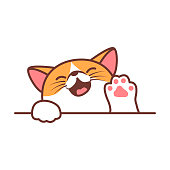 Aby Kitty
