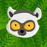 LEMUR