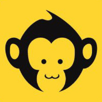APE COIN