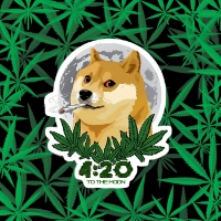 Doge 420