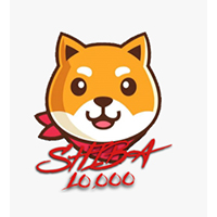 Shiba10000