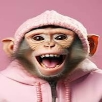 monkeywifhat