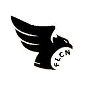 Falcontoken