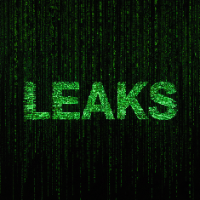 Leaked Docs