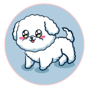 Poodle Pup