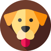 Ben Token