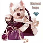 Diamond Puppy