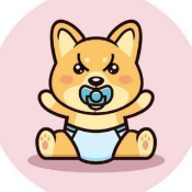 MiniBABYDOGE