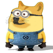 DespicableDoge