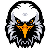 EagleFinance