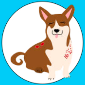 FLOKI INU