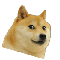RektDoge