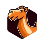 Scuffed Camel