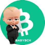 Baby Bitcoin Cash