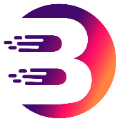 BitVision